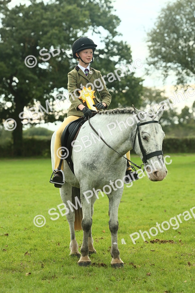 SBM_74130 - S 61 - Show Pony & Show Hunter Pony Ridden