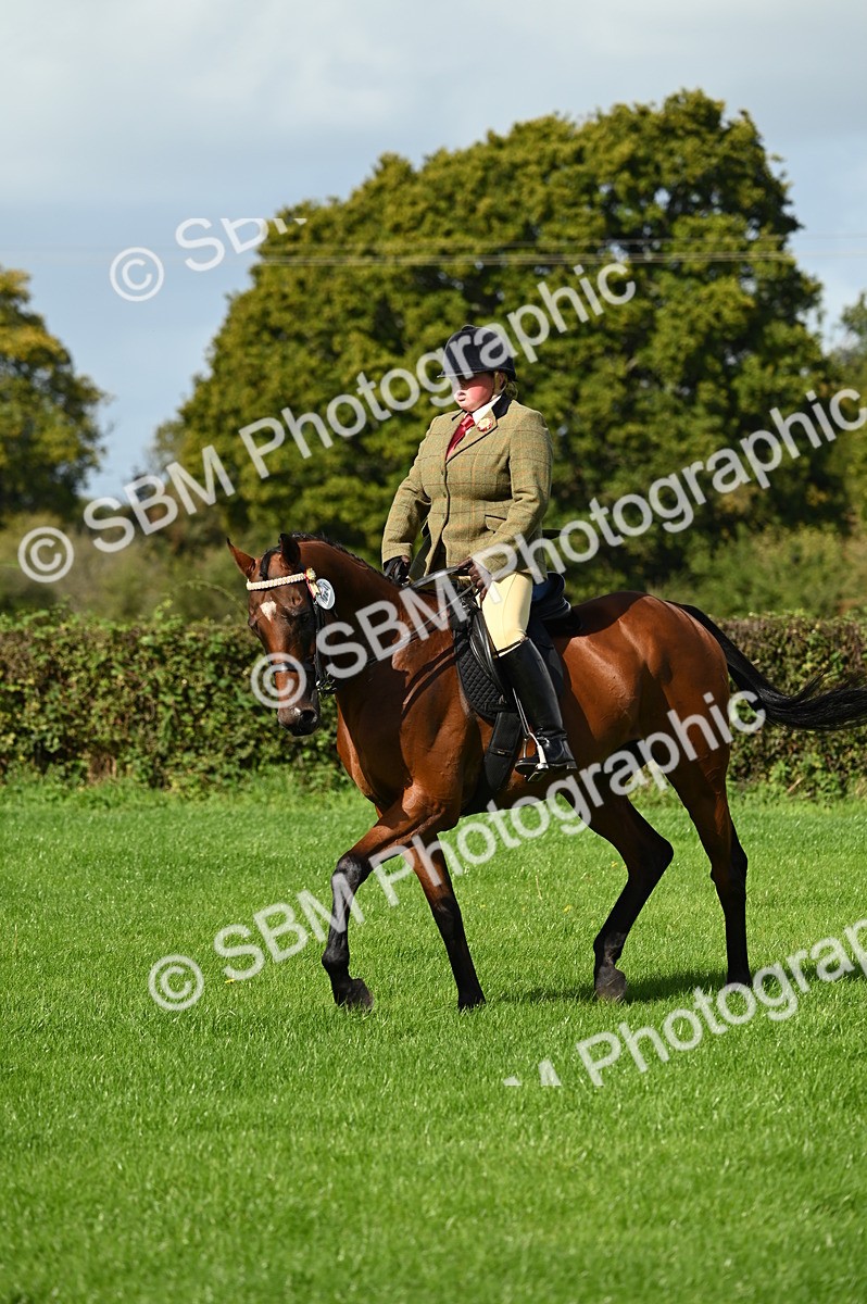SBM_01664 - S2 - TSR Ridden Horse Showing