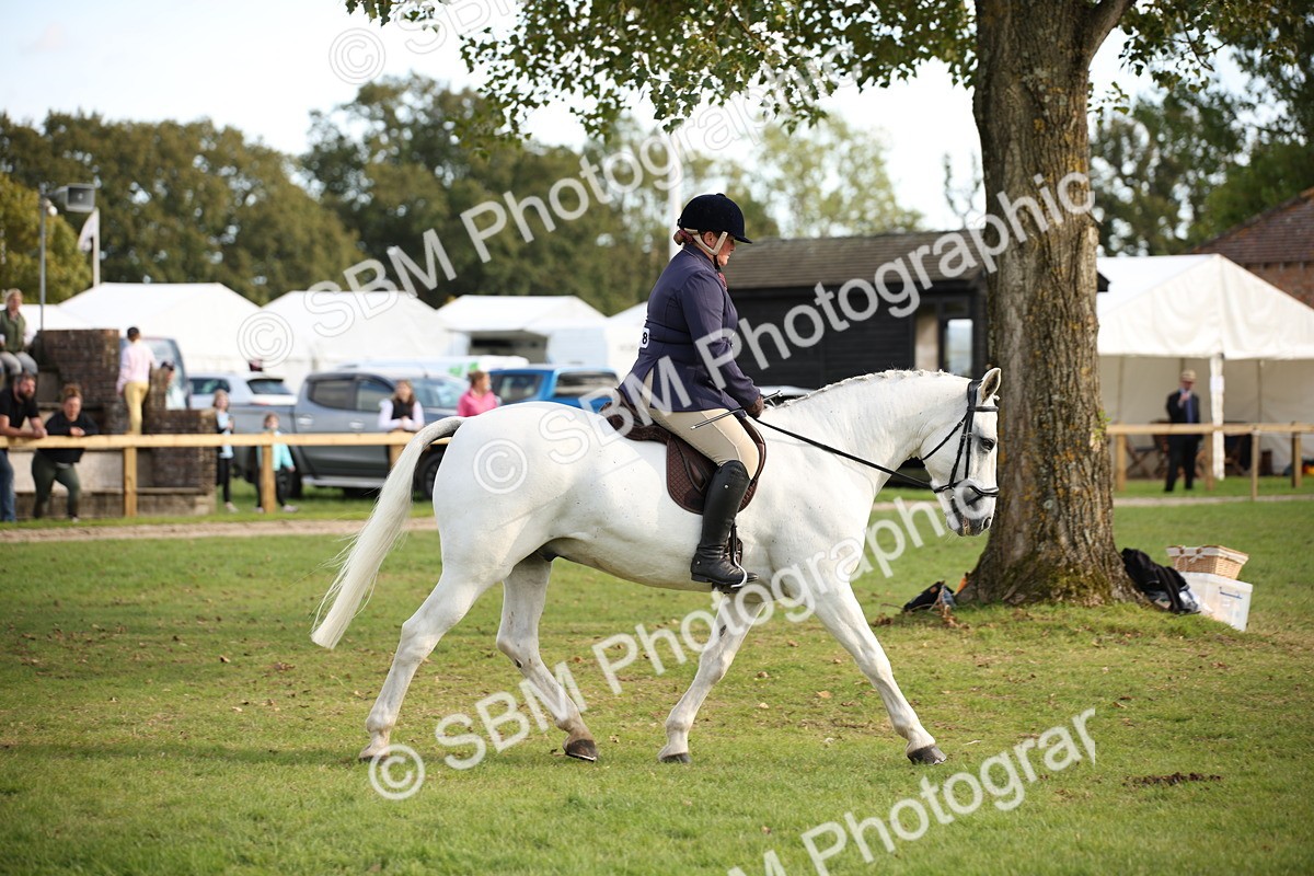 SBM_50206 - S26 - Young Veteran - Ridden