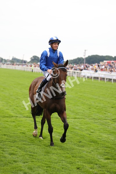 yr20082021r4-22 - Race 4 3.35pm Coolmore Wootton Bassett Nunthorpe Stakes (British Champions Series Race)
