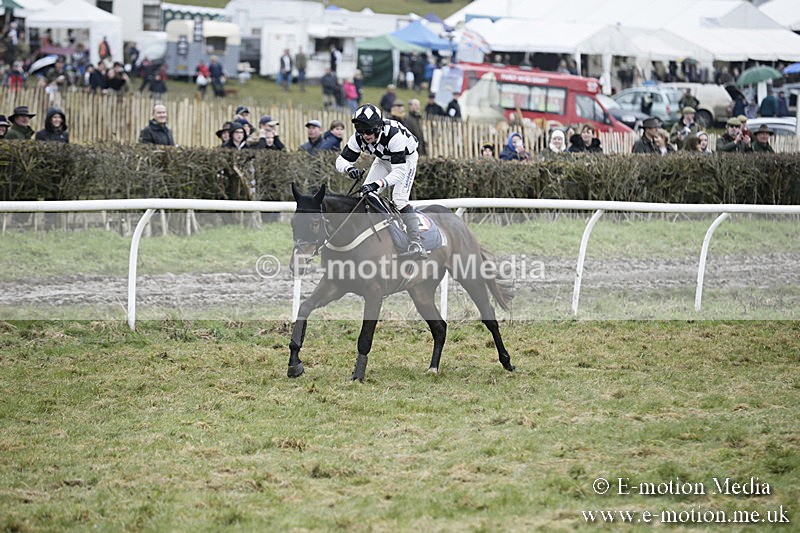 PtP 020418 -406 - Old Berks Point-to-Point Races Easter Monday 02/04/18