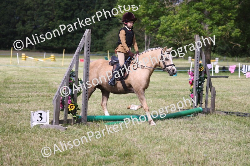 20260614-0449 - Class 20 - Beginners Working Hunter Pony