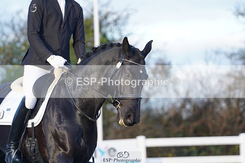 241214-102112-00154 - 115-Joe.Roome-Monarchs.Way.Tobiah