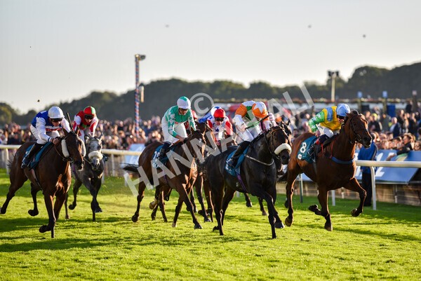 yr08102022r7-38 - Race 7 5.00pm The Coral Gets You Closer To The Action Stakes