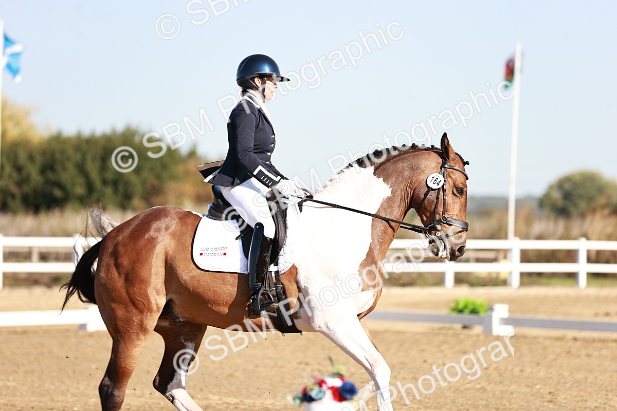 SBM_004236 - Class 12 - Novice 5 - 9.07-10.10