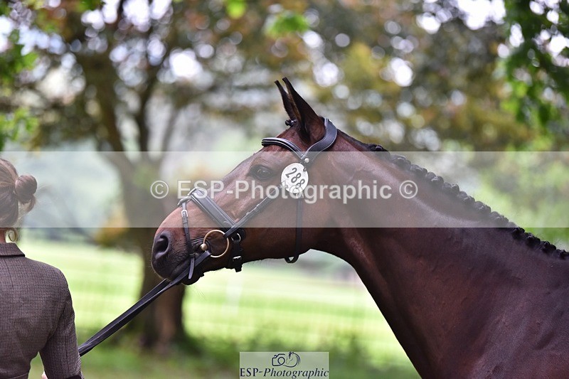 240522-172620-01607 - 288-CHACTAS_CHALONGES-Berengere_Itier