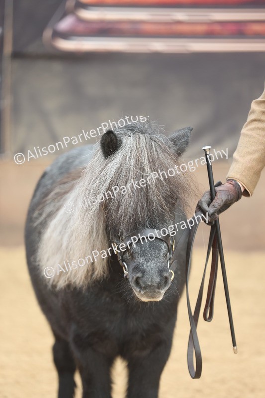 20251109-0053 - Class 3 - 2 and 3 Year Old