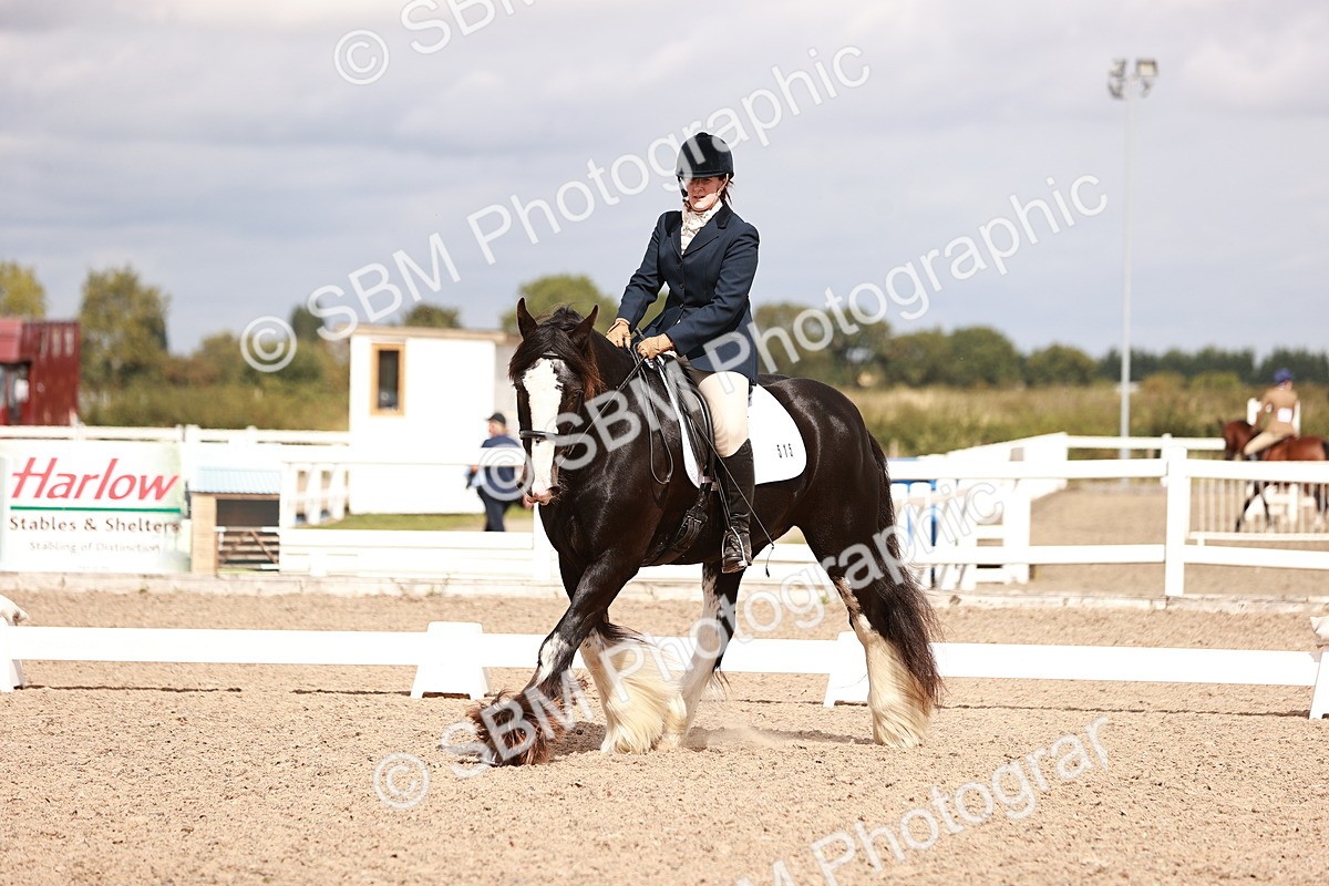 SBM_06197 - Class 37 - Novice 5