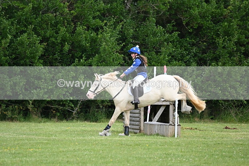 WJ6_2662 - Class 2 40cm