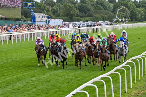 260725-Race 6-Billyb-0786 - Race 6 4.25pm Sky Bet Go-Racing-In-Yorkshire Summer Festival Handicap