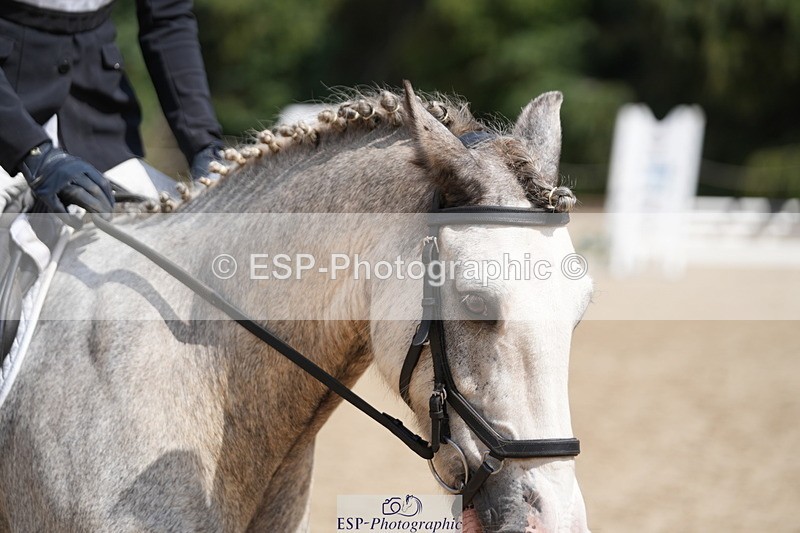 250824A-131115-37362 - 2122-Eleanor.Jackson-Smurf