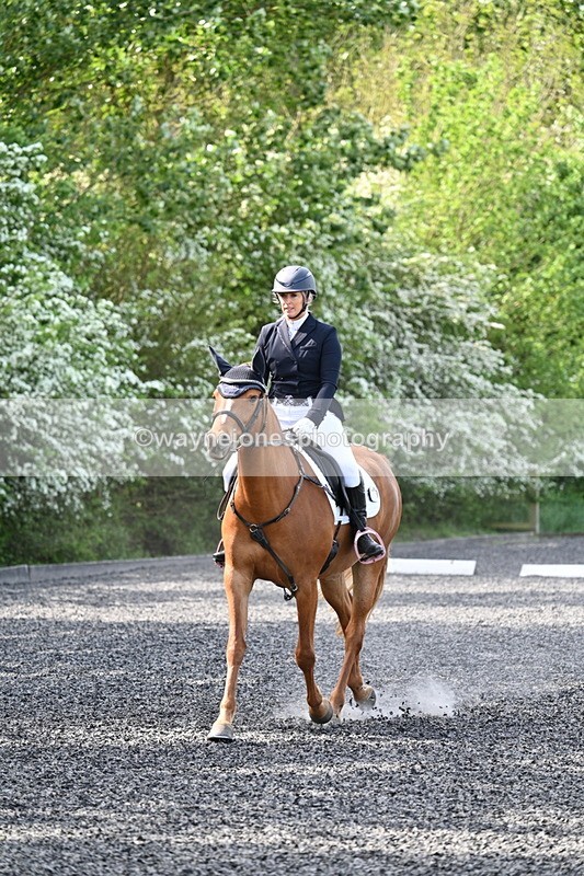 WJ7_7892 - Time 10:11 to 10:27