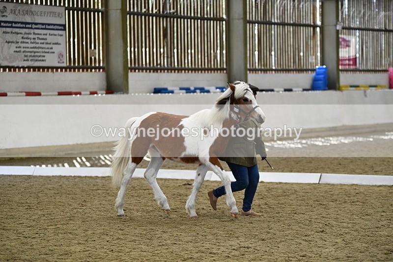 WJ5_4948 - Class 7 In hand coloured / odd coloured