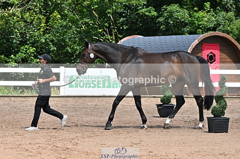 240718A-105259-01407 - Trot Up 12pm to 1pm