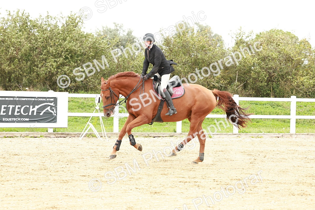 1I0A7135 - Class 2 - Senior British Novice