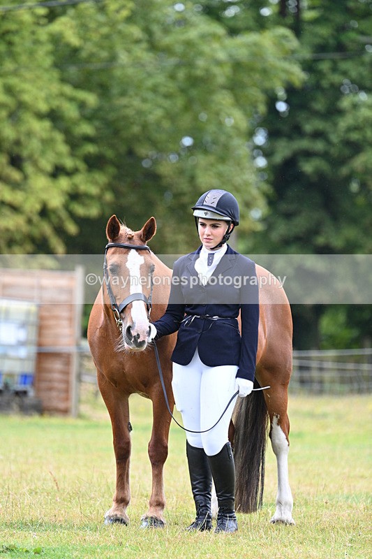 WJ7_6328 - Class 4a Prettiest Mare over 14hh