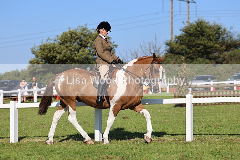 IMG_1417 - Class 29:  Ridden Native/Trad Coloured Horse