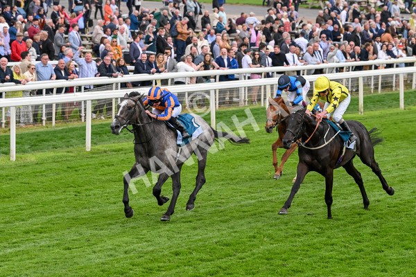 160524-Race 7-London City-6853 - Race 7 5.20pm Collective Green Energy Handicap