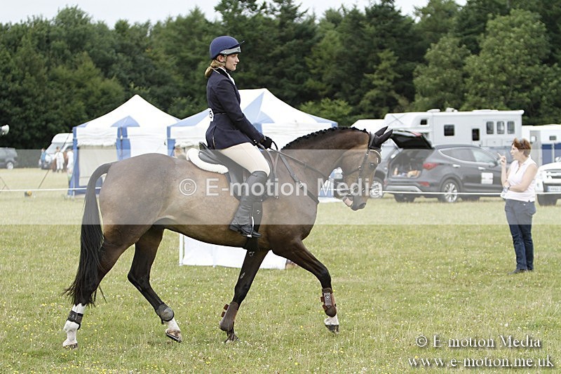 BVR160717-948 - Ring 3 BVRC Show 16/07/17