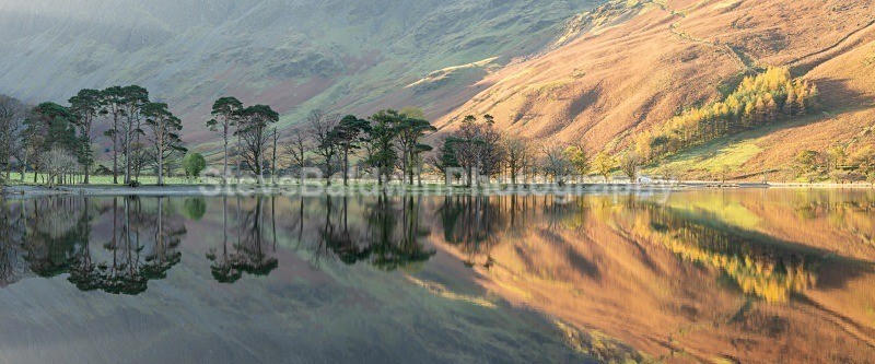 Buttermere Pines:180E - Lake District