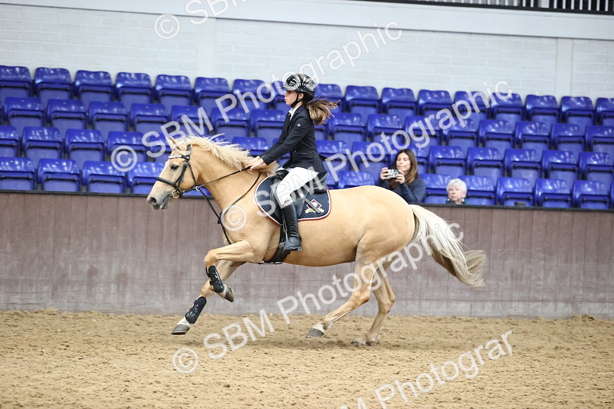 SBM_001657 - Class 3 - Springboard 128cm 138cm Restricted handicap 85cm 95cm