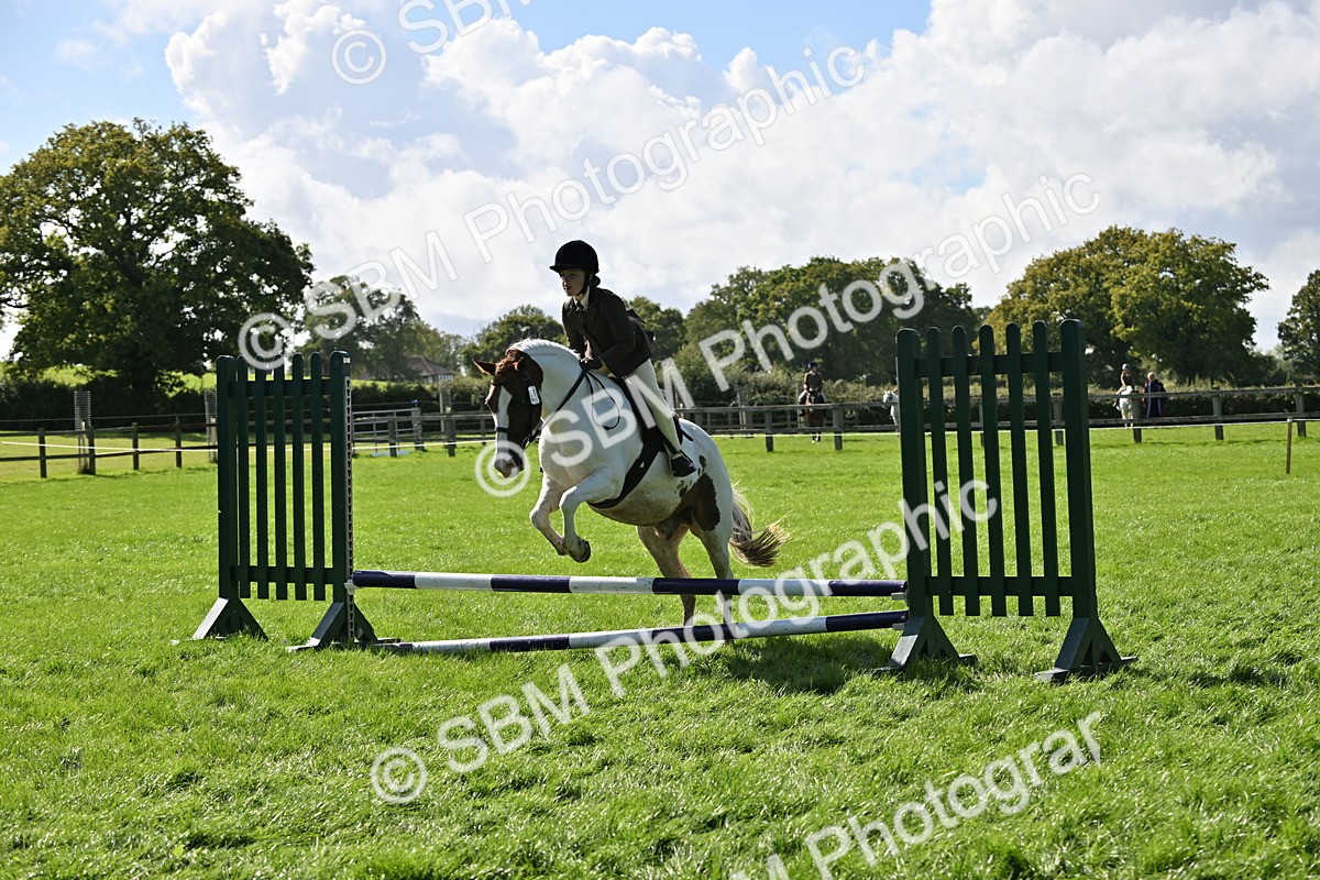 SBM_44574 - S13 - Pony Club Pony