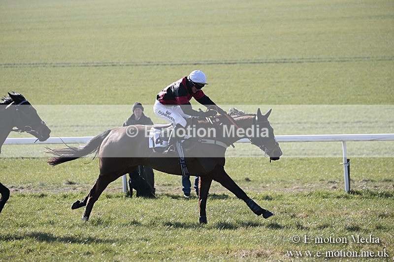 PtP 240218 61 - Vine & Craven Hunt Point-to-Point Barbury racecourse 24/02/18
