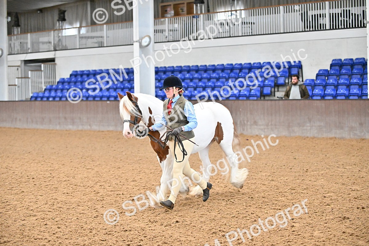 SBM_000035 - Class 1 - In Hand Cob