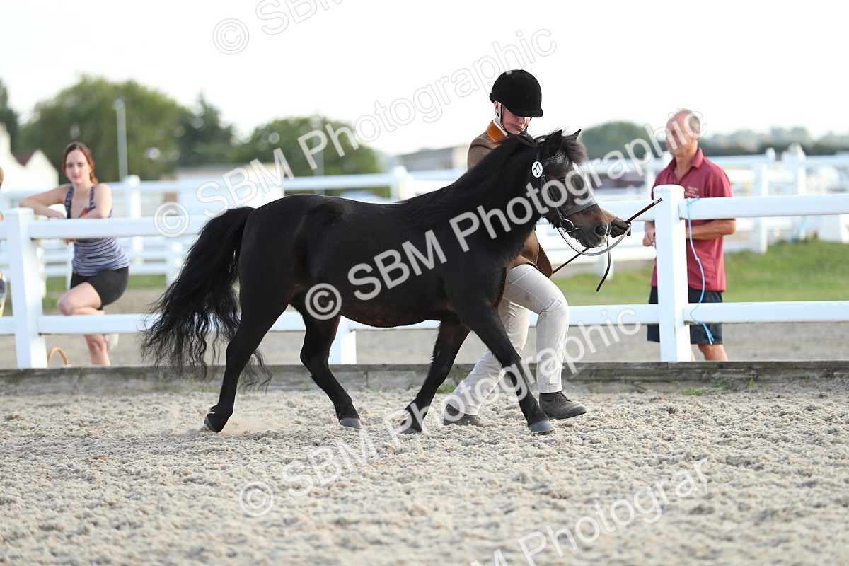 SBM_08915 - Class 29 IH Veteran Pony