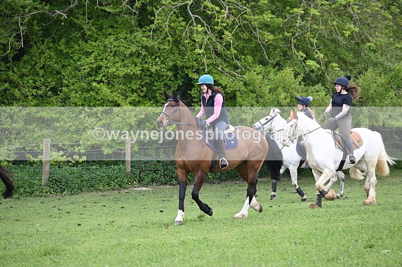WJ6_3096 - A camera