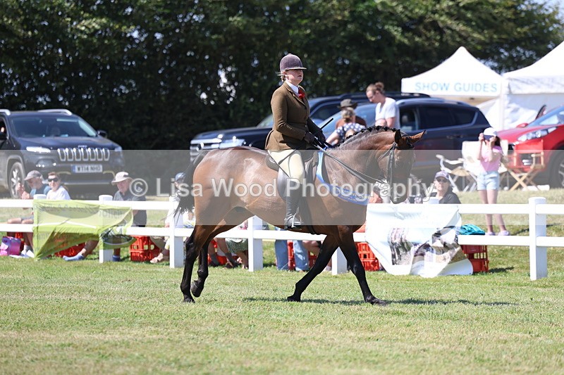 3E7A7648 - Rising Star Ridden Championship