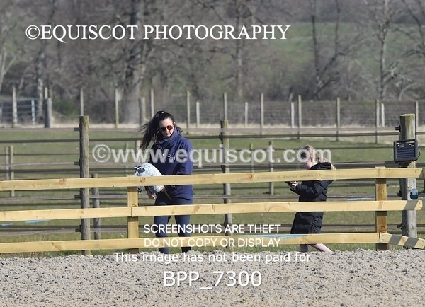 BPP_7300 - CLASS 2 Senior British Novice/ 90cm Open