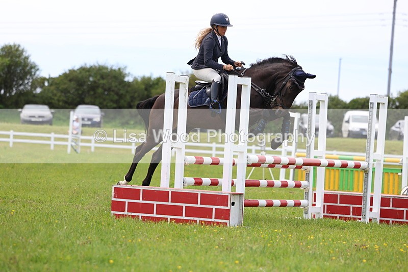 3E7A1702 - Class 13: Senior British Novice/90cm open