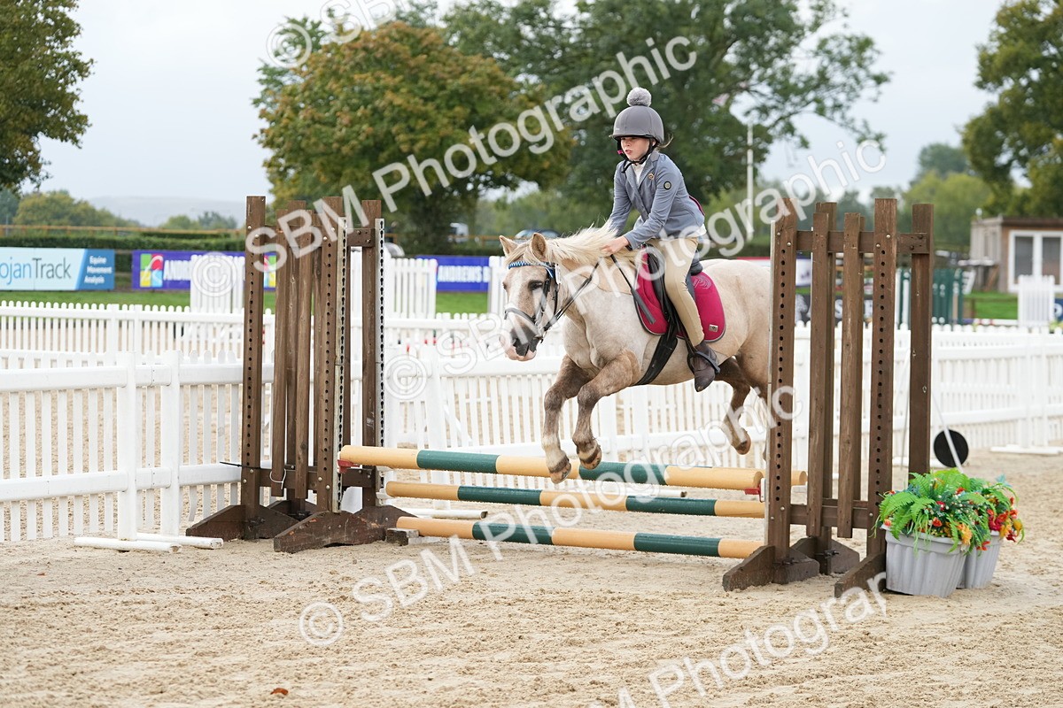 SBM_32374 - J5 - Junior Pony 50cm Championship