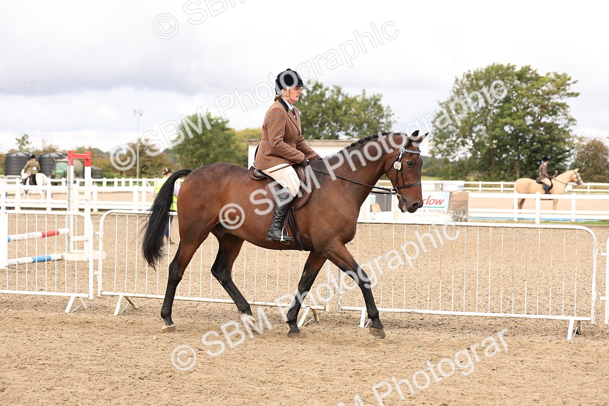 SBM_02811 - Class 53 - Ridden Competition Horse/Pony