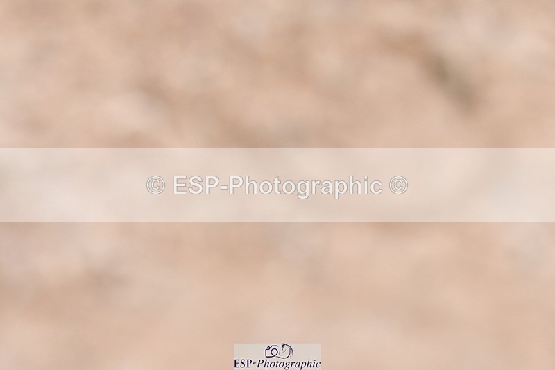 240107A-142910-02209 - UnAff Novice 28 and 30