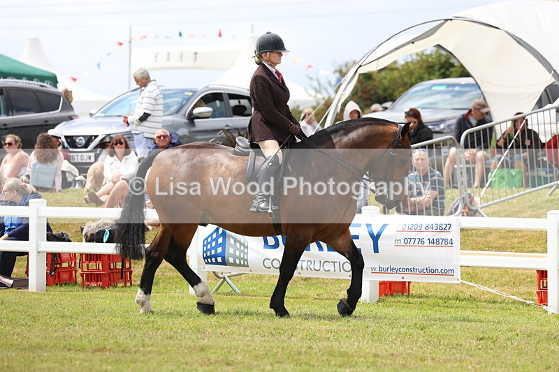 3E7A1872 - Class 10: Open Cob