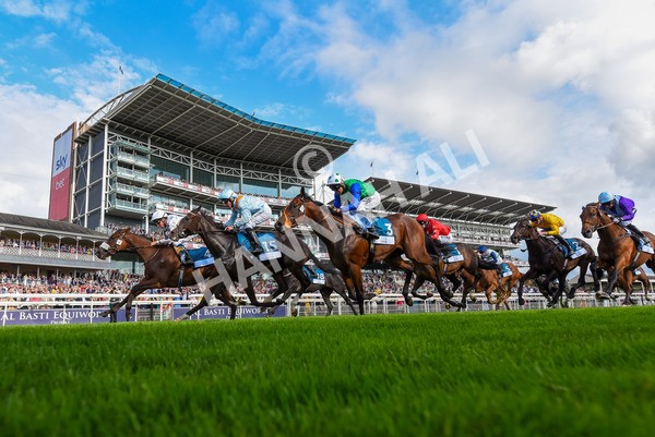 240823-Race 6-Gushing Gold-1322 - Race 6 4.45pm Or8Wellness EBF Stallions Nursery Handicap