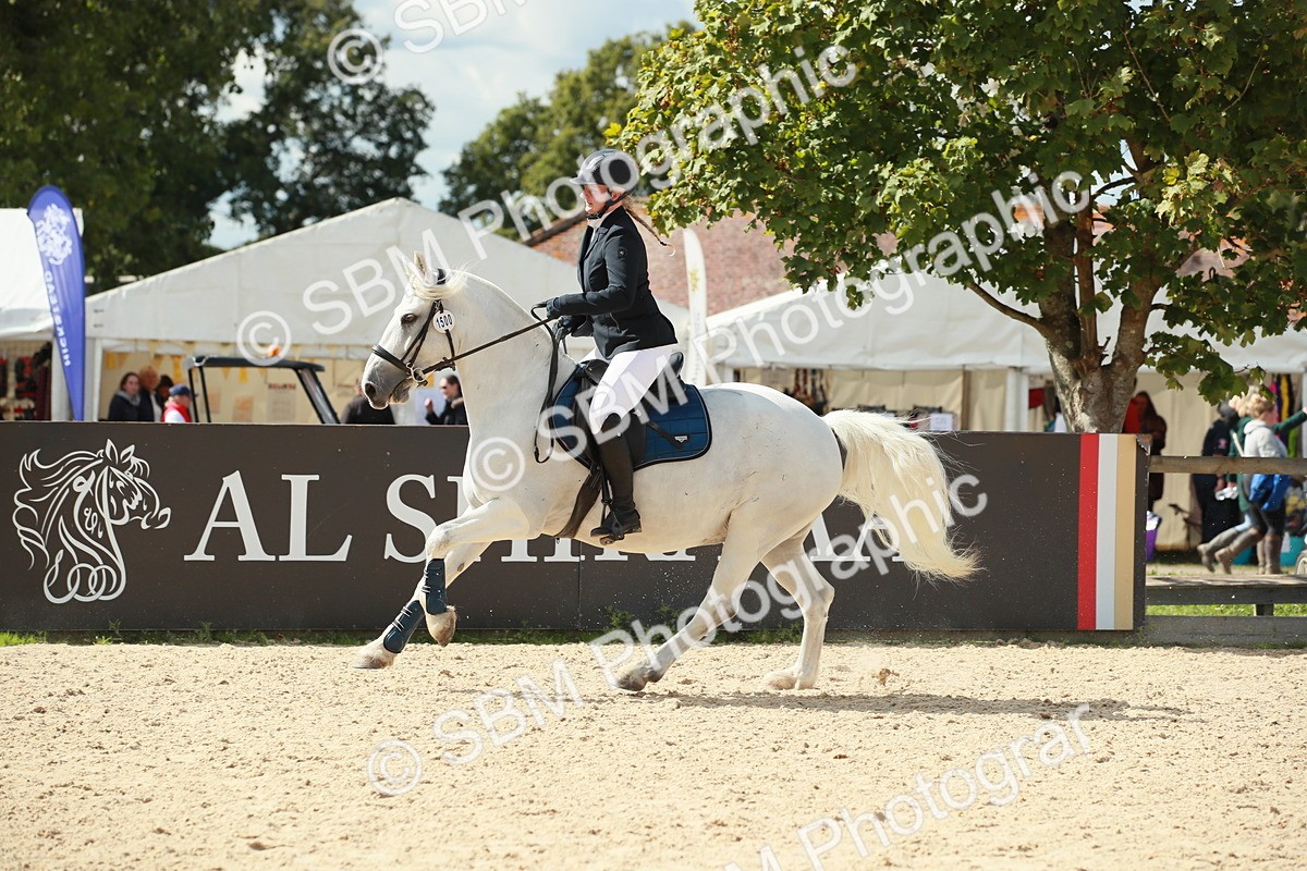 SBM_06326 - J29 Senior 65cm Championship