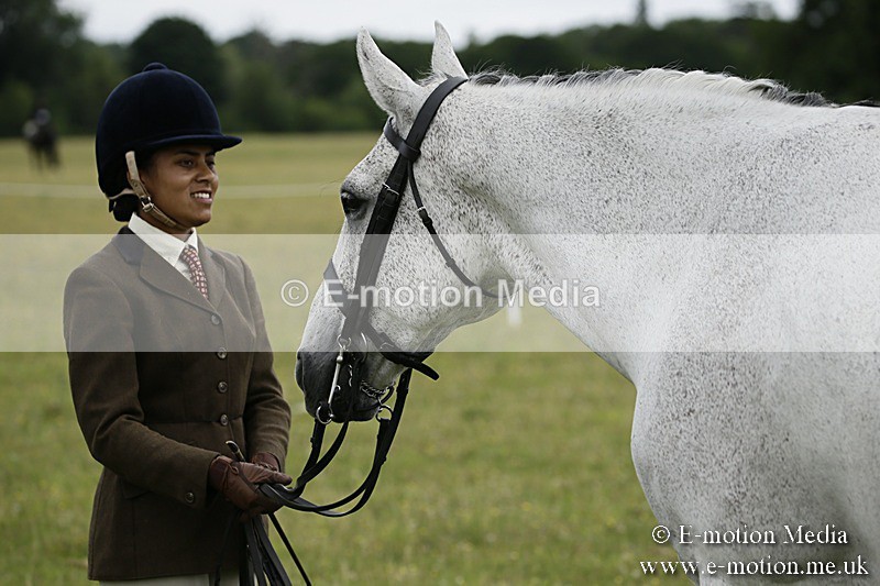 BVR160717-220 - Ring 2 BVRC Show 16/07/17