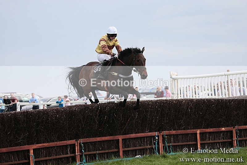 PtP 210418 225 - South & West Wilts Point-to-Point Larkhill 21/04/18