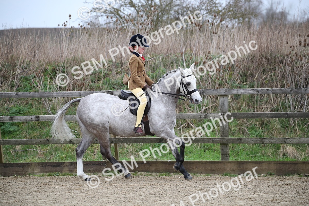 SBM_004654 - Class 5-9 - NPS In Hand-Show Hunter-Intermediate Ridden Inc Ridden Championship