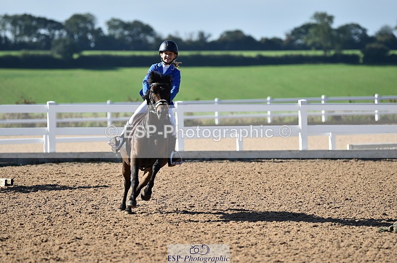 230903A-095222-03583 - Cls 17 Pony Intro 75cm