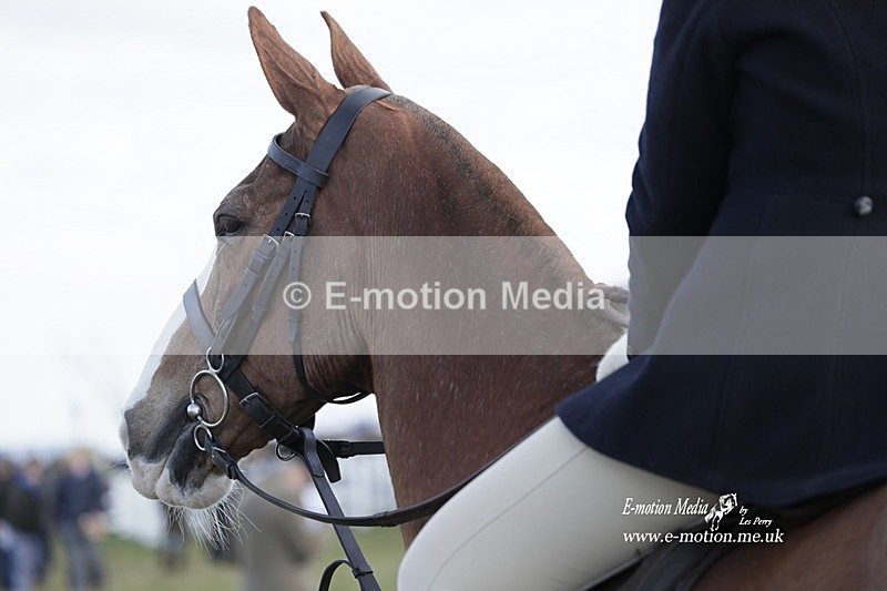 PtP 260223 774 - South & West Wilts Point-to-Point Larkhill 26/02/23