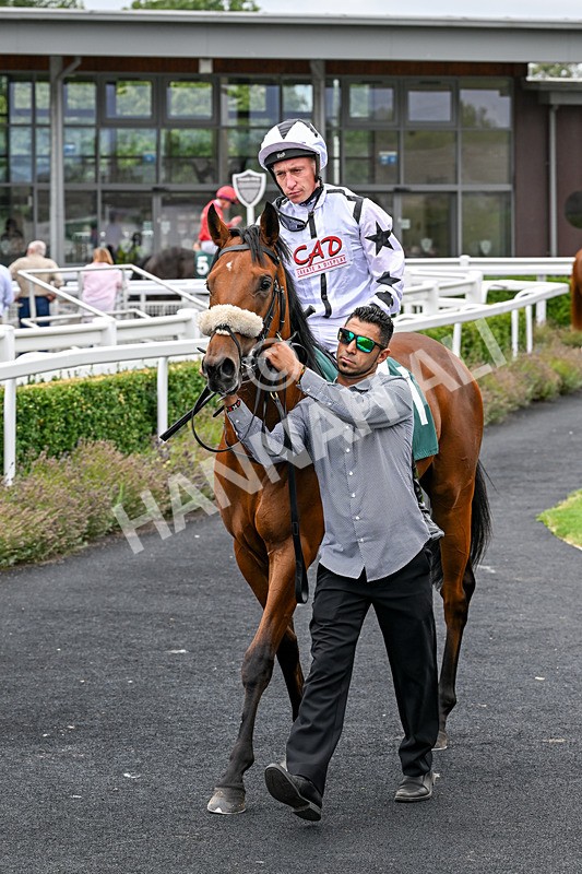 170826-Race 2-Harrys Pop-9248 - Race 2 14.45pm Well-Earned Retirement Neal Kidd Nursery Handicap
