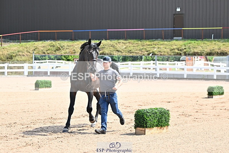 240718A-105237-00939 - Trot Up 11am to 12pm