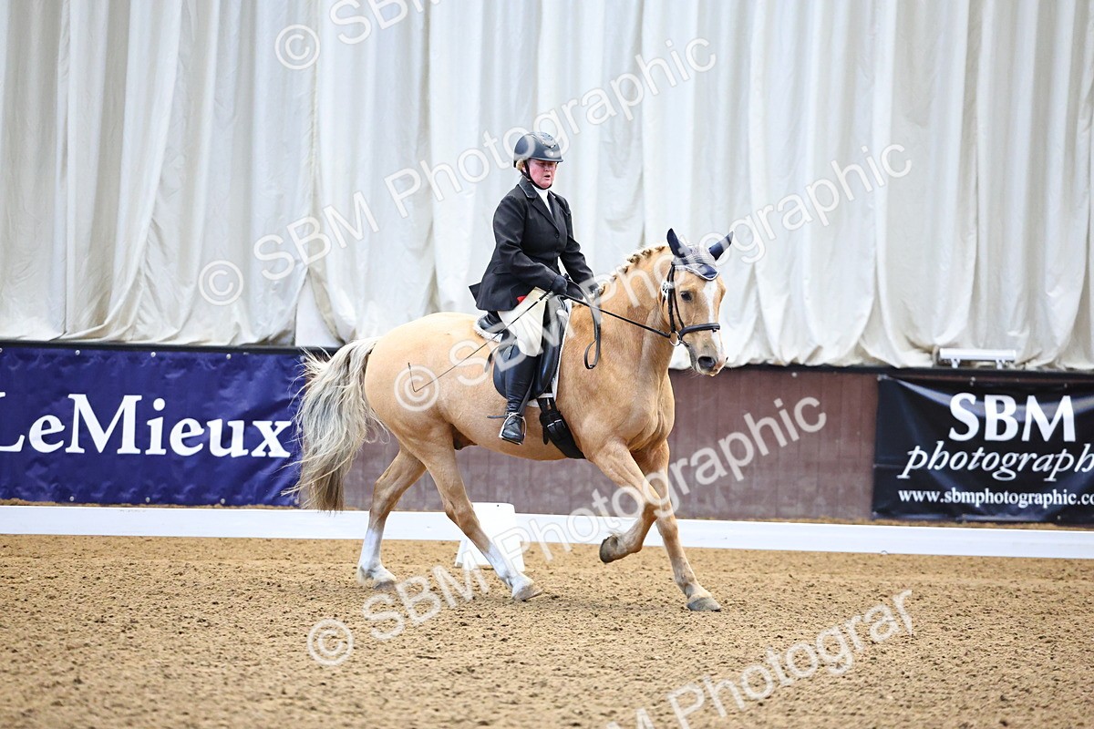 SBM_003647 - Class 11 - Prelim 5