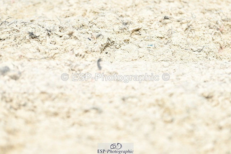 230623-105019-02042 - Cls 2 Prelim 19Q 10.20 to End