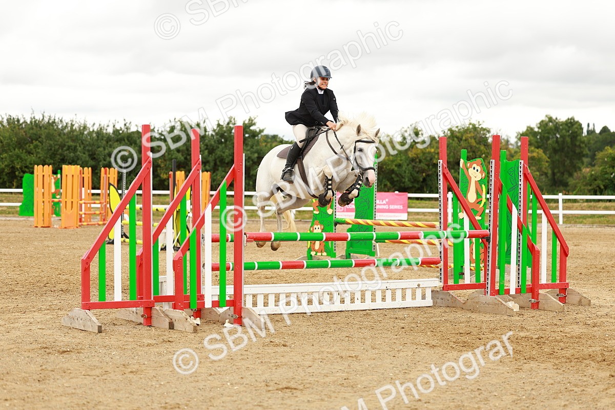 SBM_001817 - Class 9 - Senior British Novice - 90cm
