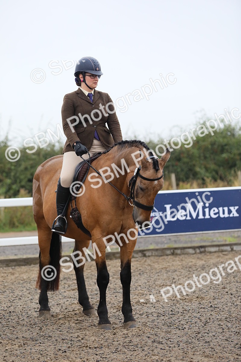SBM_19955 - Class 801 - Ridden Veteran